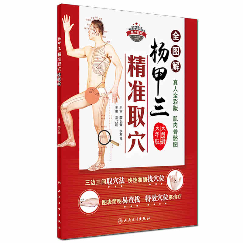 全图解真人全彩版肌肉骨骼图 三边三间取穴法 快速准确找穴位 中医