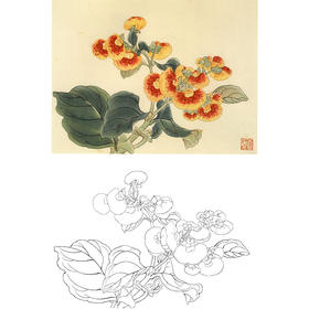 俞致贞工笔花鸟白描底稿-花卉-蒲包花-斗方小品册页-JV45