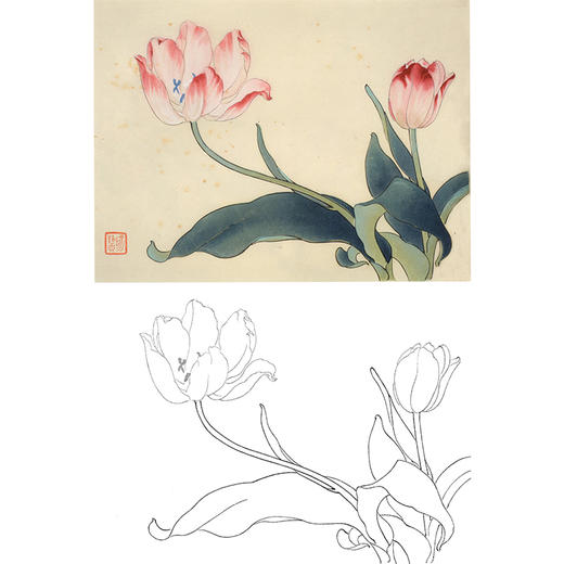 俞致贞工笔花鸟白描底稿-花卉郁金香-斗方小品册页-JV59 商品图0