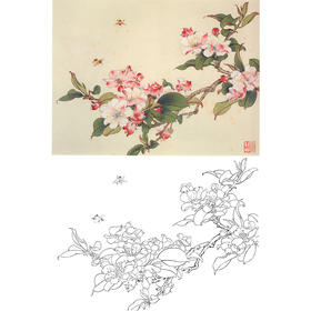 俞致贞工笔花鸟白描底稿-海棠花《西府海棠》-斗方小品册页-JV46