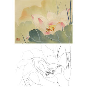 俞致贞工笔花鸟白描底稿-花卉荷花-斗方小品册页-JV60