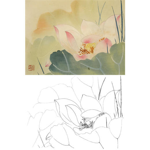 俞致贞工笔花鸟白描底稿-花卉荷花-斗方小品册页-JV60 商品图0