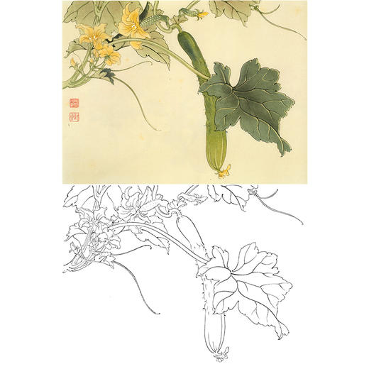 俞致贞工笔花鸟白描底稿-花卉《黄瓜花》-斗方小品册页-JV49 商品图0