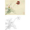 俞致贞工笔花鸟白描底稿-花卉梅花《扫帚梅》-斗方小品册页-JV50 商品缩略图0