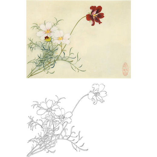 俞致贞工笔花鸟白描底稿-花卉梅花《扫帚梅》-斗方小品册页-JV50 商品图0