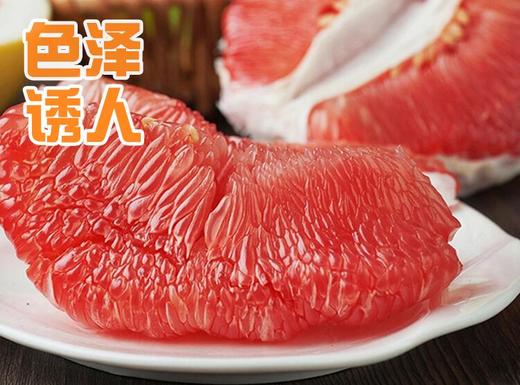 福建维多丽红肉蜜柚 商品图0