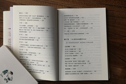  布教授有办法系列-读懂二孩心理 商品图4