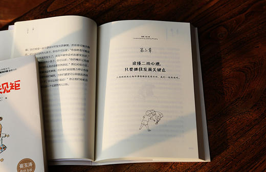  布教授有办法系列-读懂二孩心理 商品图2