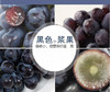 意大利原装进口红酒（家庭餐酒） 商品缩略图0
