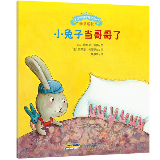 宝宝情绪管理图画书九辑全5册小兔子当哥哥了等 儿童情绪管理与性格培养绘本 幼儿童早教图书籍 适用于2-9岁宝宝情绪管理书 商品图3