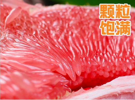 福建维多丽红肉蜜柚 商品图1