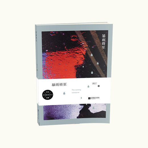 《暴雨将至》刘汀著（签名本） 商品图0