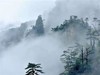 ＜2108浙西大明山、大龙湾、龙井峡王者漂流2日＞ 门票漂流全含，赠送农家晚餐 商品缩略图6