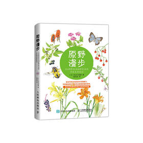 原野漫步 370种野花与88种昆虫的手绘自然笔记
