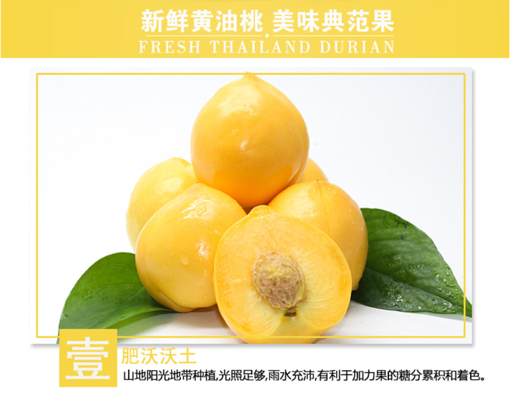 黄金油桃 甜脆桃子 超值特惠