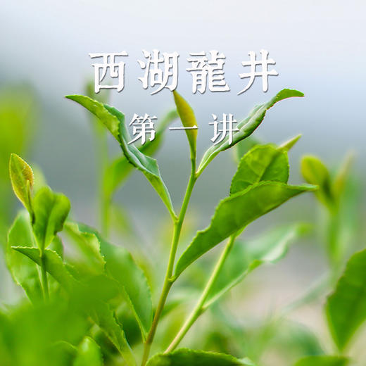 西湖边的一红一绿 商品图0