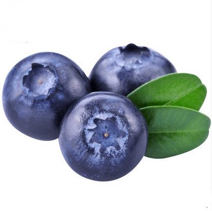 秘鲁蓝莓 商品图4