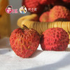 【荔枝之王】糯米糍荔枝新鲜现摘 商品缩略图0