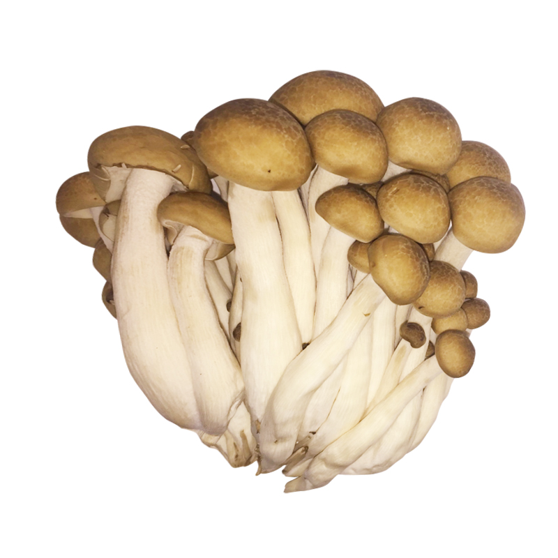 鸡腿菇(约350g/袋)