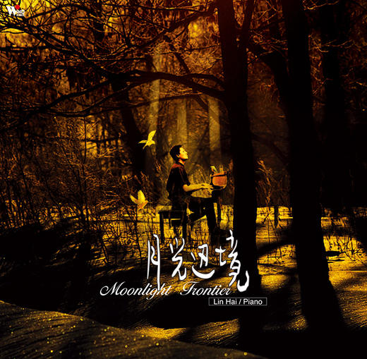 林海 · 月光边境 | 新世纪、疗愈 钢琴 商品图0