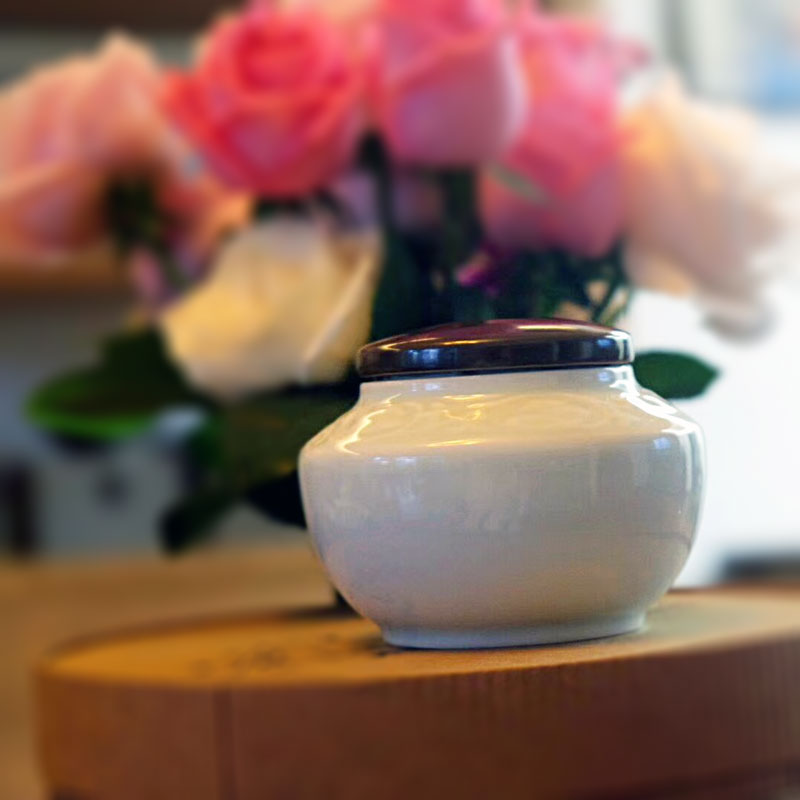 最美小茶罐，简约大方，高贵优雅的人都喜欢她。50g装