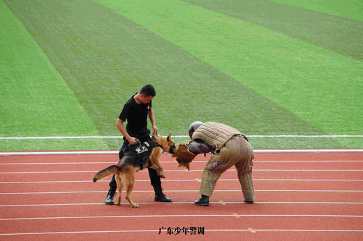 大自然探秘营 商品图6