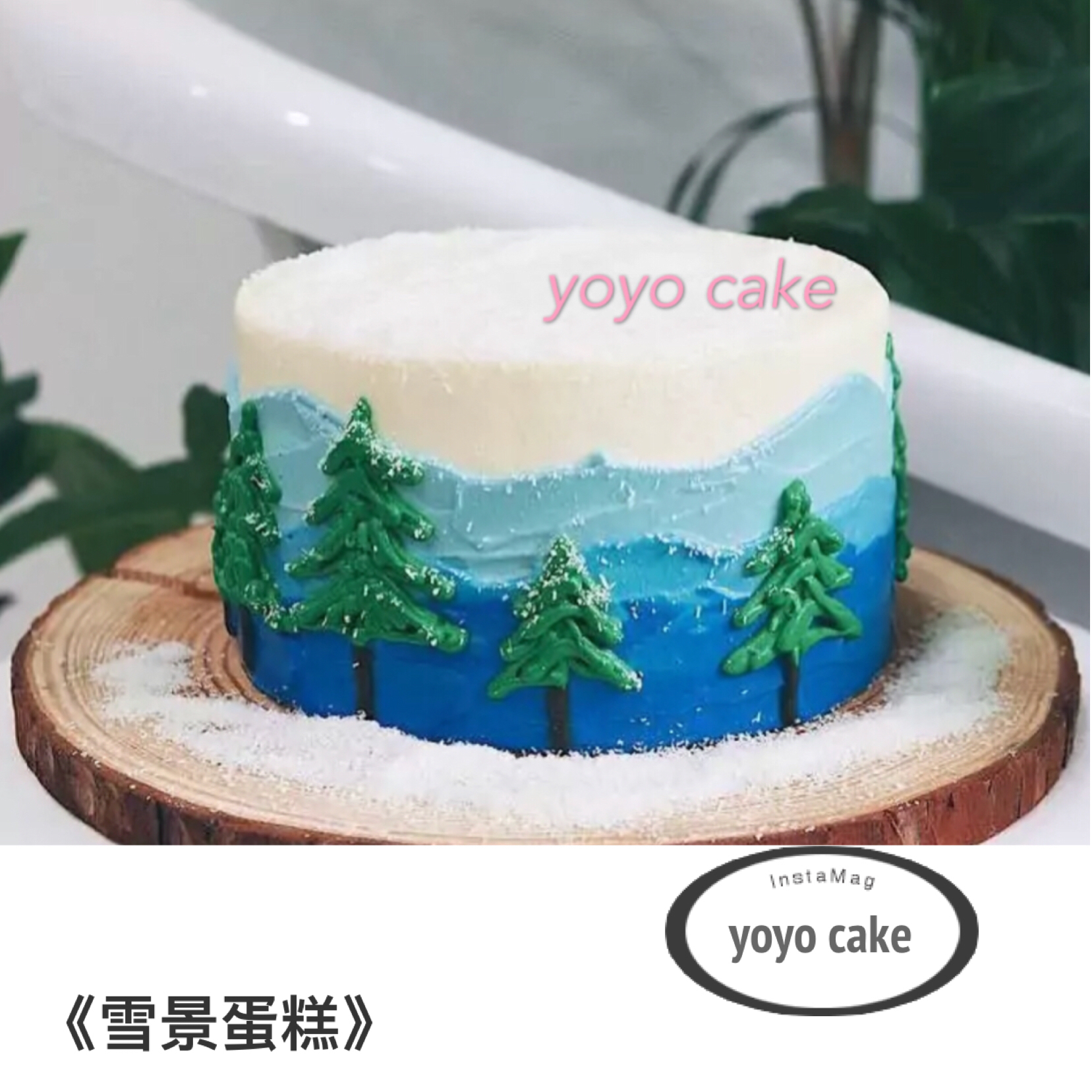 u店上新《雪景蛋糕》