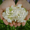 放松学院夏季游学  山景蜜月房单人两晚房差 | 到植物里去 · 福州茉莉 商品缩略图0