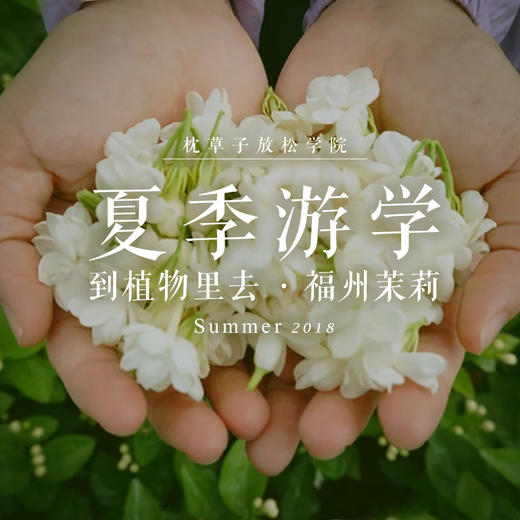 放松学院夏季游学  山景蜜月房单人两晚房差 | 到植物里去 · 福州茉莉 商品图0