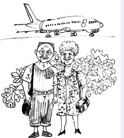金婚之旅 商品图0