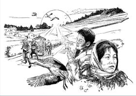 我家三婶