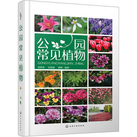 公园常见植物 商品图0