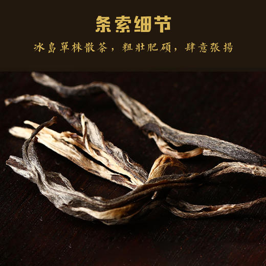 只剩1棵啦！【冰岛单株】2020年春尖，仅3棵！！！ 商品图10