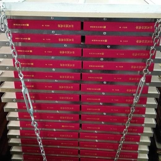 《新見漢印集粹》全一册 商品图2