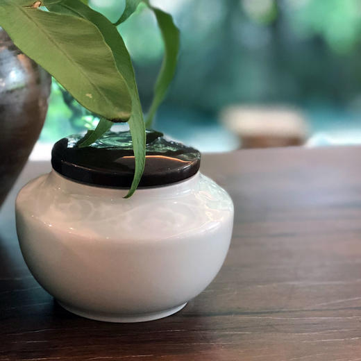 最美小茶罐，简约大方，高贵优雅的人都喜欢她。50g装 商品图1