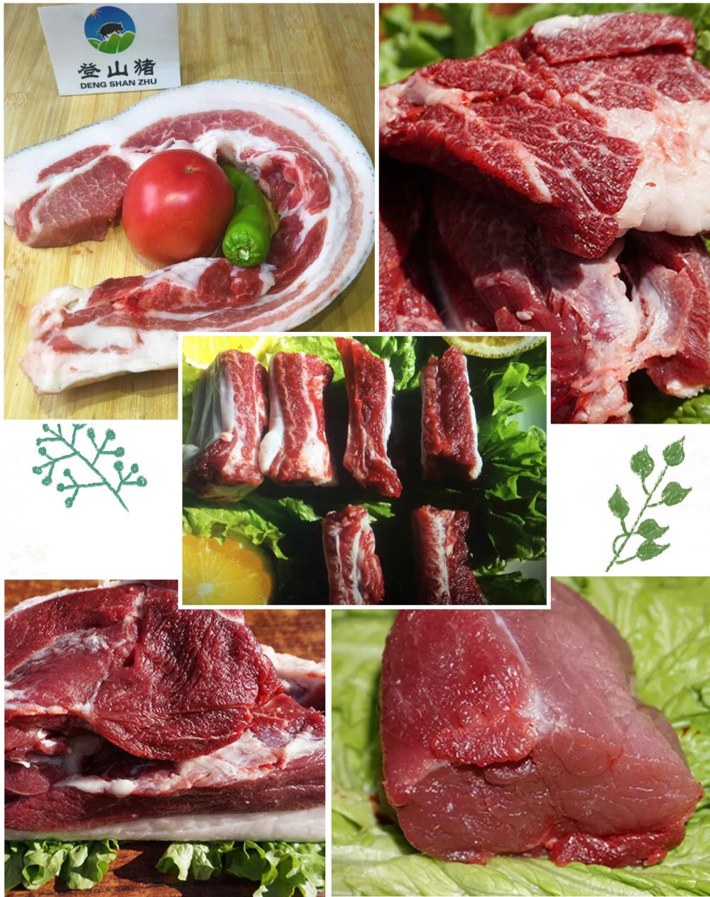 散养登山猪【京津冀 通五花 前腿肉 后腿肉 精肉 混排】5斤装 肉肉全