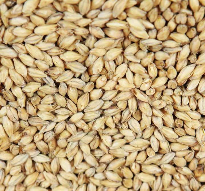 黑麦芽1kg-永顺泰