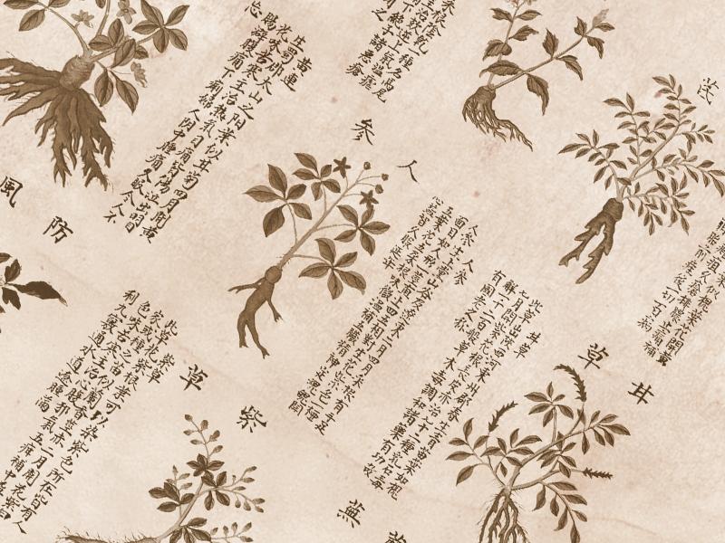 收看 | 现代中医如何看秦可卿医案？