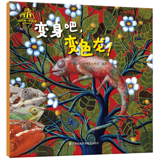 《和自然一起长大·我的动物朋友》（套装共10本）随书附送！“探究自然奥秘，神奇的科学放大镜！”-分销 商品图2