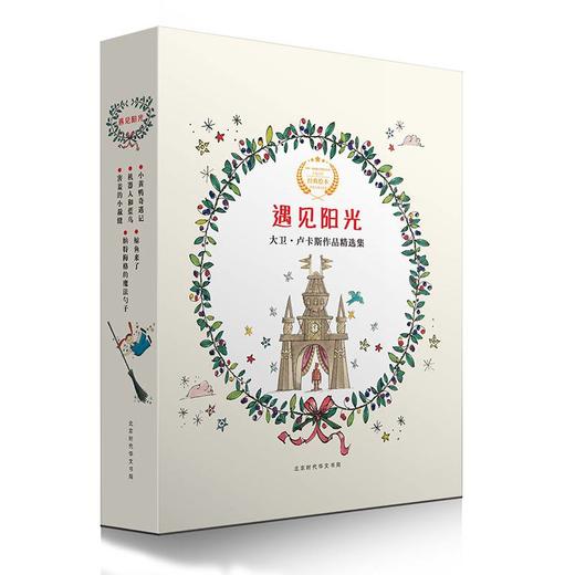 大卫卢卡斯系列绘本作品精选集-遇见阳光（全5册）套装 商品图0