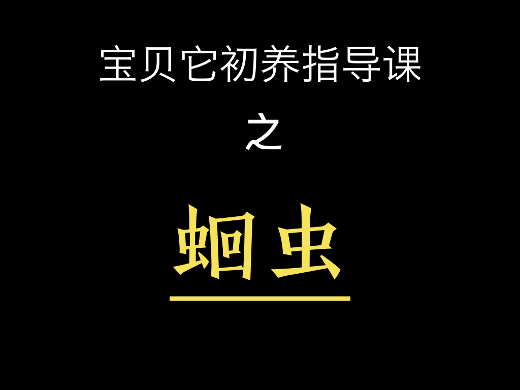 [免费] 犬蛔虫 | 危害+传播途径+预防方法