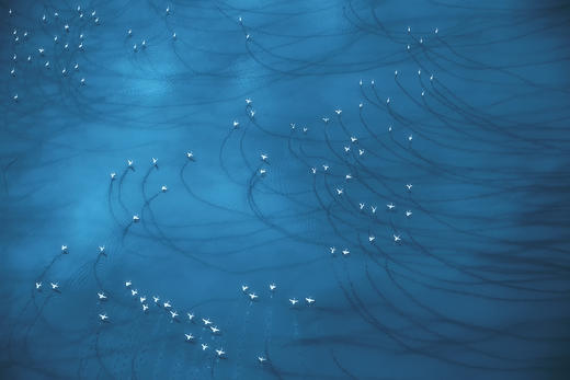 坦桑尼亚纳特龙湖直升飞机 商品图3