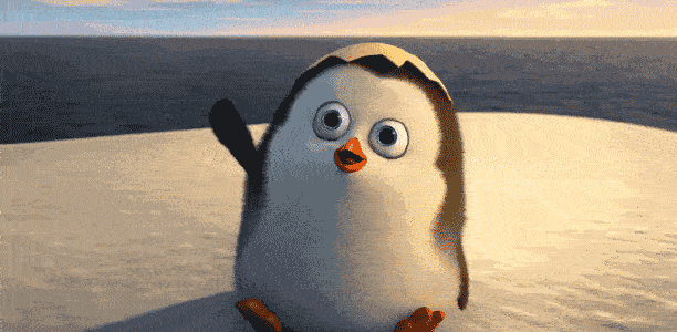 企鹅.gif