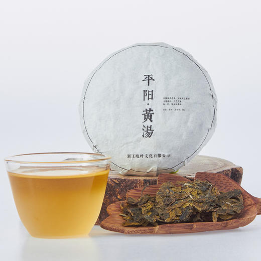 瓯叶丨平阳黄汤 雁羽黄金叶 浙江黄茶饼 2018年春茶 50g 商品图6