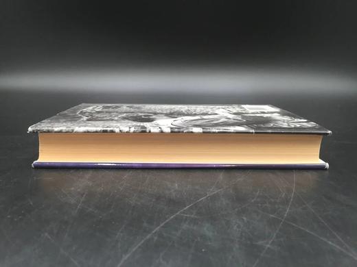 丹·西蒙斯 夜幕下的孩子 精装大32开 商品图3