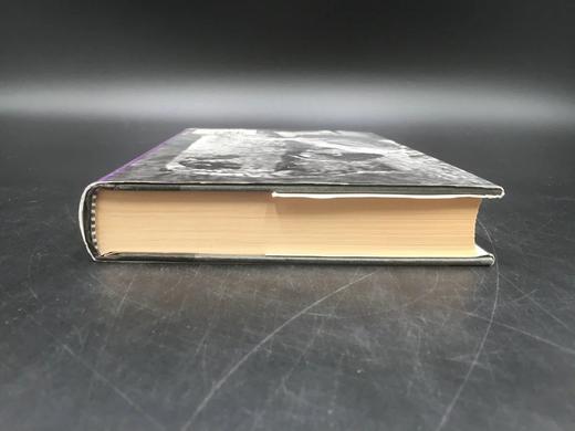 丹·西蒙斯 夜幕下的孩子 精装大32开 商品图4