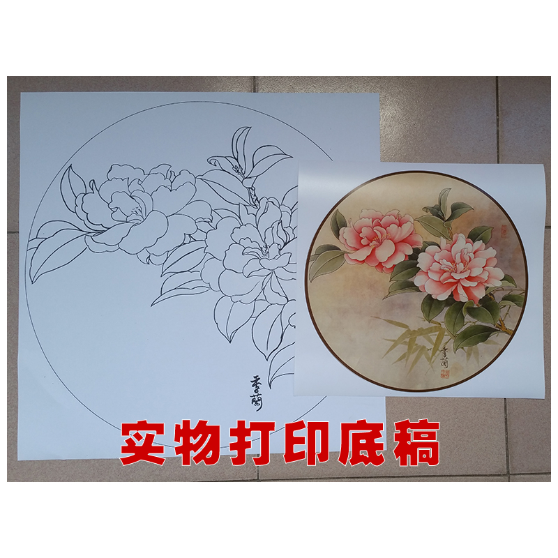 b款 梁季兰工笔画团扇底稿24套 初学者临摹线描打印