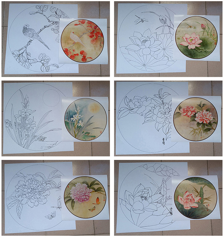 b款 梁季兰工笔画团扇底稿24套 初学者临摹线描打印