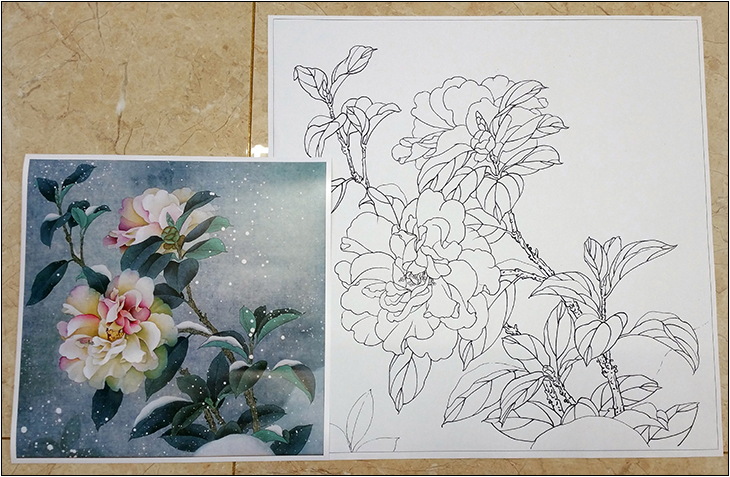 d款 高清工笔画花鸟斗方白描底稿12张 国画花鸟小品