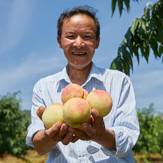光听名字就让你口舌生津的奉化水蜜桃 一口下去 满满都是化在嘴里的水润甘甜 商品图1